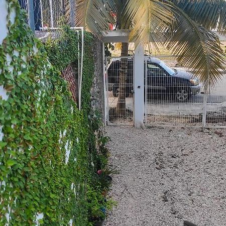 Departamento Centrico Con Estacionamiento Daire Felipe Carrillo Puerto Dış mekan fotoğraf