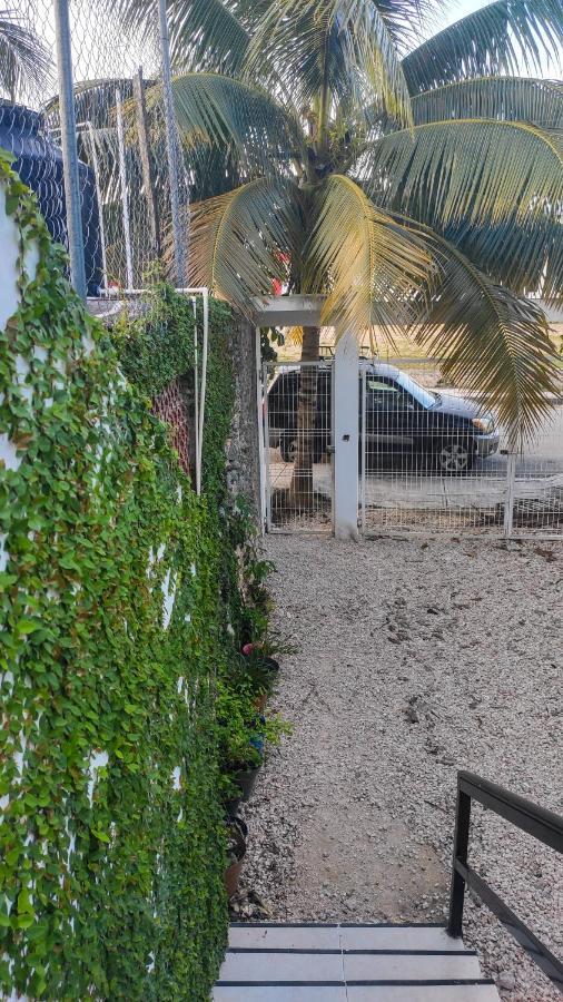 Departamento Centrico Con Estacionamiento Daire Felipe Carrillo Puerto Dış mekan fotoğraf