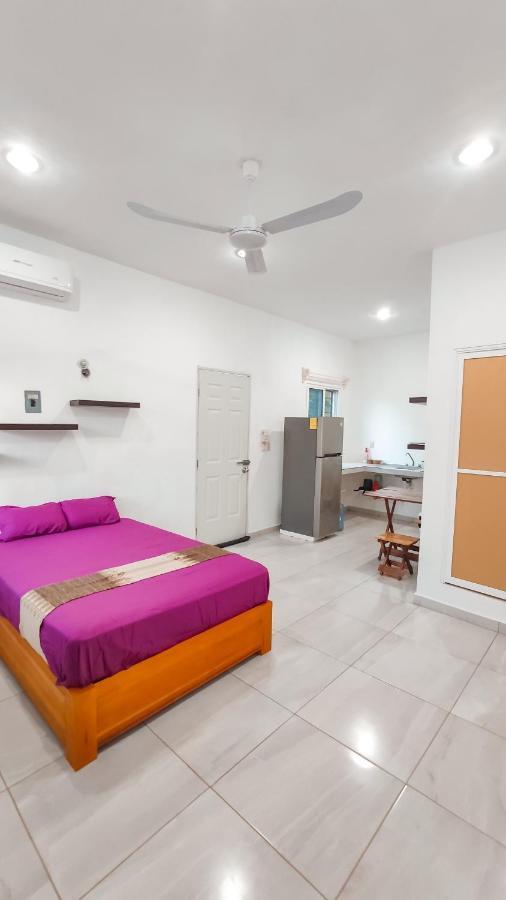 Departamento Centrico Con Estacionamiento Daire Felipe Carrillo Puerto Dış mekan fotoğraf